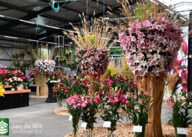 DLD 01 DSC_9441