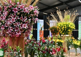 DLD 02.2 DSC_9476