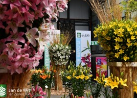 DLD 27.2 DSC_9564