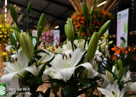 DLD 28 DSC_9453