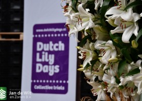 DLD 34 DSC_9645