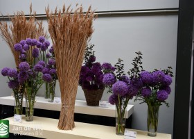 DLD 35 DSC_9663