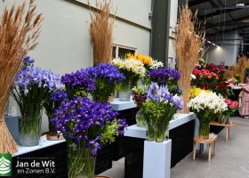 DLD 40 DSC_9454