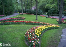 Keukenhof 2013 (36)