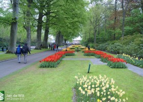 Keukenhof 2013 (49)