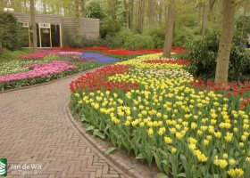 Keukenhof 2013 (55)