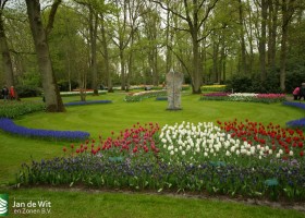 Keukenhof 2013 (63)
