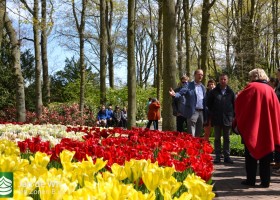 Keukenhof 2017 (10)
