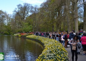 Keukenhof 2017 (21)