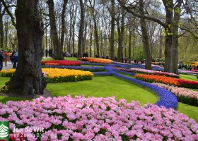 Keukenhof 2017 (23)