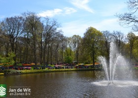 Keukenhof 2017 (35)