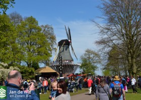 Keukenhof 2017 (43)