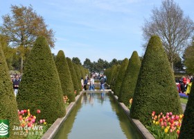 Keukenhof 2017 (58)