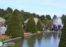 Keukenhof 2017 (59)