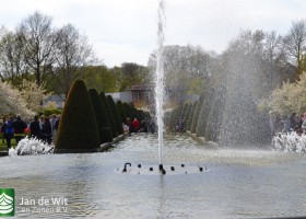 Keukenhof 2017 (60)