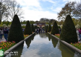 Keukenhof 2017 (61)
