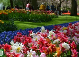 Keukenhof 2018