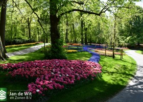 Keukenhof 2020 (108)