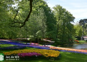 Keukenhof 2020 (110)
