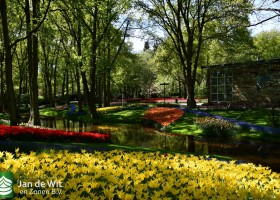 Keukenhof 2020 (125)