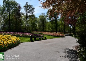Keukenhof 2020 (26)