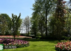 Keukenhof 2020 (27)