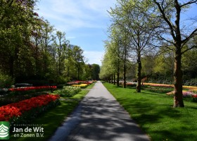 Keukenhof 2020 (61)
