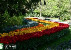 Keukenhof 2020 (72)
