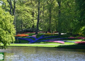 Keukenhof 2020 (95)