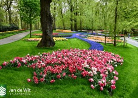 Keukenhof 2021 (100)