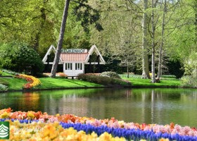 Keukenhof 2021 (103)