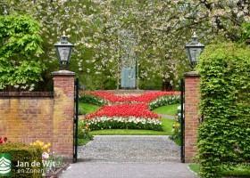 Keukenhof 2021 (132)