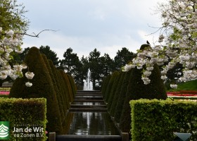Keukenhof 2021 (135)