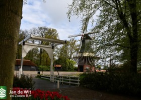 Keukenhof 2021 (32)