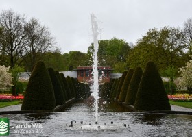 Keukenhof 2021 (7)