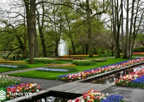Keukenhof 2021 (84)