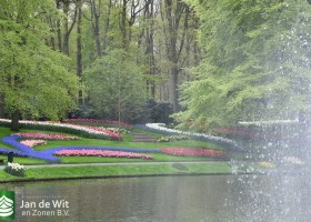 Keukenhof 2021 (88)
