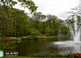 Keukenhof 2021 (89)
