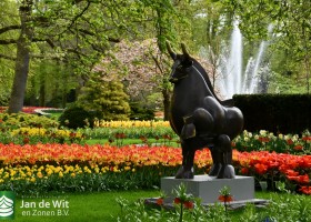 Keukenhof 2021 (93)