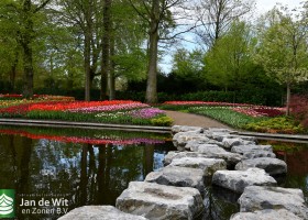 Keukenhof 2021 (95)