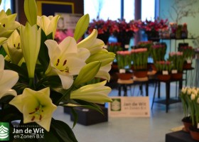 Trade show Proeftuin Zwaagdijk 2016