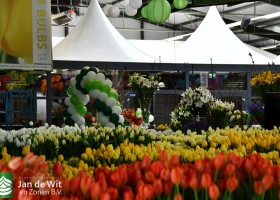 Tulip Trade Event 2022