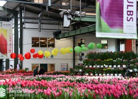 Tulip Trade Event 2024