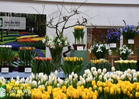 Tulip Trade Event 2026