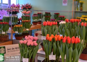 Trade show Proeftuin Zwaagdijk 2018