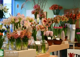 Trade show Proeftuin Zwaagdijk 2020