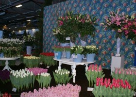 Holland Flowers Festival 2010