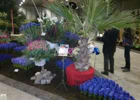 HFF 2011 overview (10)