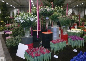 HFF 2011 overview (11)