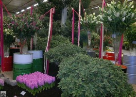 HFF 2011 overview (12)